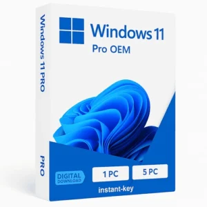 Windows 11 Professional